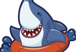 食品原料小百科：硫酸軟骨素可以用在什么地方？